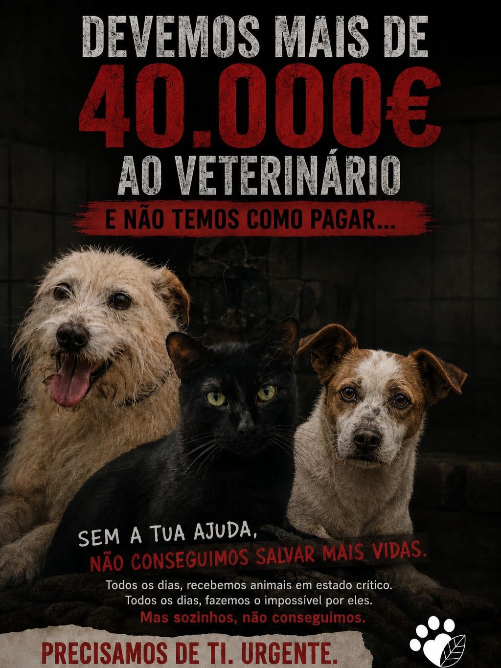 Animais resgatados — precisamos de ajuda urgente